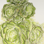 Watercolor painting by Shelly Chambers