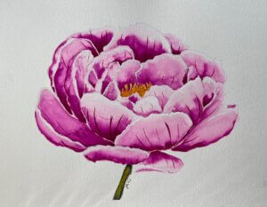 Painting of a peony flower
