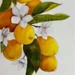 Painting of lemons on a branch with flowers