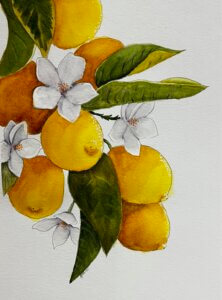 Painting of lemons on a branch with flowers
