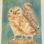 Snowy Owls Painting of Snowy Owls