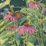Monarch and Cone Flowers CMW 2024 - Kerry Kupferschmidt Monarch and Cone Flowers CMW 2024 - Kerry Kupferschmidt