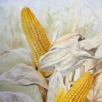 Parched Parcel Parched Parcel