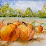 Pumpkin Patch Pumpkin Patch