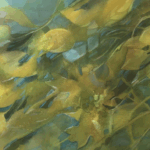 Watercolor painting by Diane Runberg