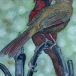 Watercolor painting by Paula Tift