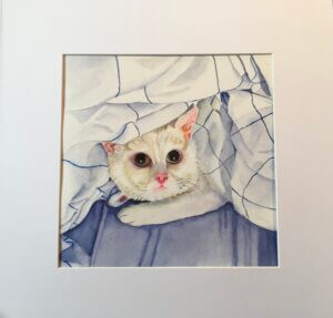 White cat peeking out from under a blanket